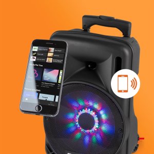 Kolumna mobilna z mikrofonem Fenton FT10LED 10 " 450W bluetooth one size 16