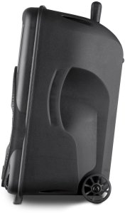 Kolumna mobilna z mikrofonem Fenton FT10LED 10 " 450W bluetooth one size 6