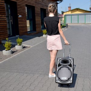 Kolumna mobilna Ibiza PORT12UHF-BT-TWS one size 10