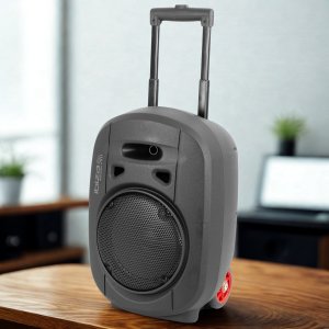 Kolumna mobilna Ibiza PORT8UHF-MKII-TWS one size 19