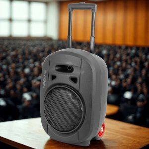 Kolumna mobilna Ibiza PORT8UHF-MKII-TWS one size 20