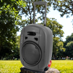 Kolumna mobilna Ibiza PORT8UHF-MKII-TWS one size 22