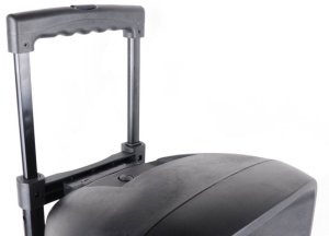 Kolumna mobilna z mikrofonem 300W Party Light&Sound PARTY-8LED one size 11