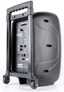 Kolumna mobilna z mikrofonem 300W Party Light&Sound PARTY-8LED one size 12