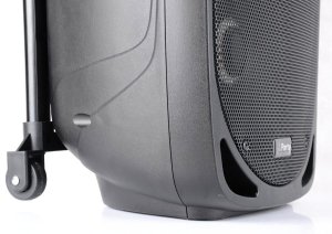 Kolumna mobilna z mikrofonem 300W Party Light&Sound PARTY-8LED one size 10