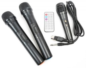 Kolumna mobilna z mikrofonami Vonyx ST100 MK2 one size 9