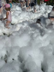 Wyrzutnia piany 3000W wytwornica piany Foam Cannon 3000 + case one size 11