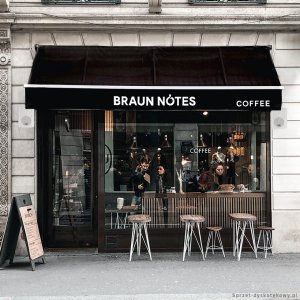 Kolumny instalacyjne dwudrożne 100W SkyTec - para, kolor biały one size 6