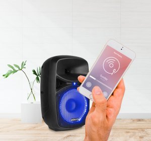 Zestaw nagłośnieniowy Plug&Play 400W Vonyx VPS082A one size 15