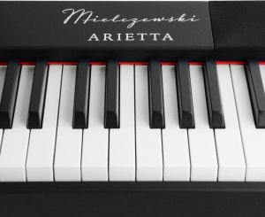 Mielczewski Pianino cyfrowe 88 klawiszy ważonych młoteczkowych Arietta one size 14