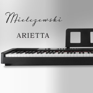 Mielczewski Pianino cyfrowe 88 klawiszy ważonych młoteczkowych Arietta one size 6