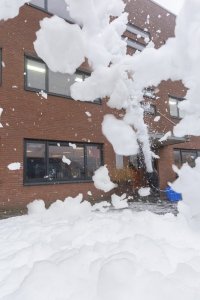 BeamZ Wyrzutnia piany JFC1000 one size 14