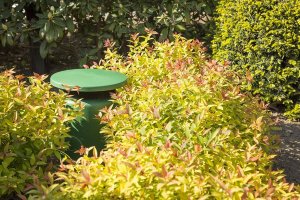 Kolumna Power Dynamics Głośnik ogrodowy 30W IP45 100V 5,25" GS530 one size 6