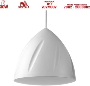 Głośnik wiszący Power Dynamics 1szt PDS40W 100V / 8 Ohm - 5,25 cala - biały one size 1