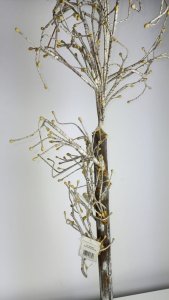 Jodła jagodowa, biała, 120cm one size 1