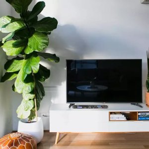 Odtwarzacz cyfrowy CD USB SD PDC-35 PD one size 17