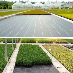 PrimeGarden Agrotkanina czarna 100 cm x50m UV 70g agrowłóknina + kotwy 4