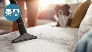 Odkurzacz bezworkowy Seria 1000 XB1142/10 Philips 7