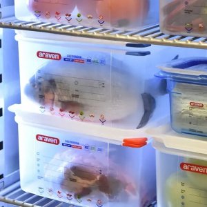 Pojemnik GN 1/6 150 mm z polipropylenu z pokrywką | ARAVEN, 3025 15