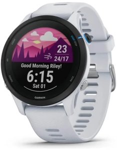 Garmin Forerunner 255 Music Bėgimo laikrodis, 46 mm, Whitestone 1