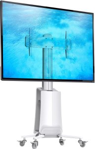 North Bayou Stojak podłogowy G85W 55'' - 80'' 1