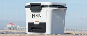 Lodówka turystyczna Ninja FrostVault 28 L 2
