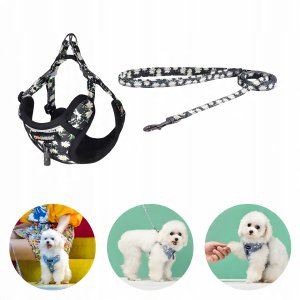 Zestaw spacerowy Dogness smycz 1,5m+szelki dla psa (wielokolorowy) 6