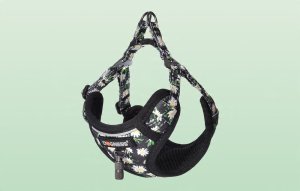 Zestaw spacerowy Dogness smycz 1,5m+szelki dla psa (wielokolorowy) 8