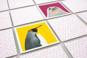 Tactic Wildlife Memo, Card Game, Matching, 3 yr(s) 3