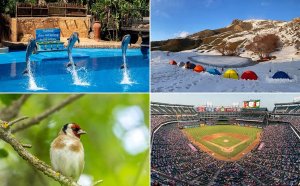 Lornetka K&F Concept KF33.070 10x25 11