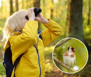 Lornetka K&F Concept KF33.070 10x25 2