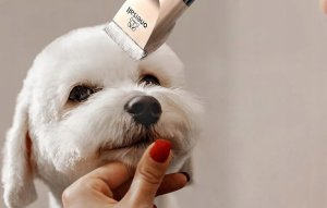 Trymer / Maszynka do strzyżenia dla zwierząt Oneisall X2 2