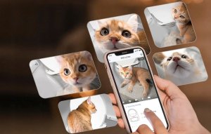 Catlink Scooper Pro Ultra (CL-CG-01) 6