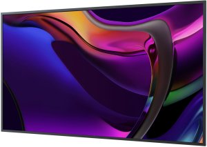 Standard Display 65" 1