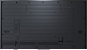 Standard Display 65" 2