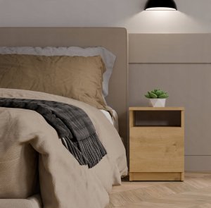 Szafka nocna GALAX 30/1D ARTISAN 2