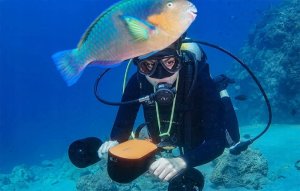 Skuter podwodny Geneinno S2 (czarno-żółty) 3