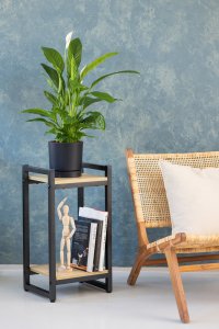 Kwietnik stojący metalowy Vertico 65 cm - czarny stojak na kwiaty 6