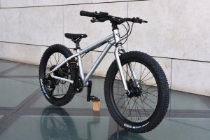 Early Rider Seeker 20" vaikiškas dviratis | Sidabrinis 11