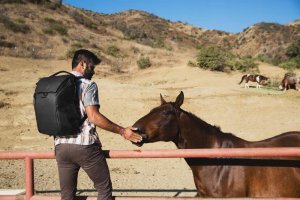 Plecak PEAK DESIGN  Everyday Backpack 30L v2 - Czarny - EDLv2 6