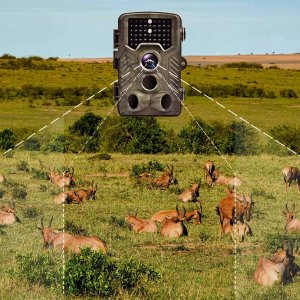 FOTOPUŁAPKA KAMERA LEŚNA HC800A 12