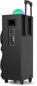 Kolumna Fenton Kolumna mobilna karaoke LIVE290 one size 10