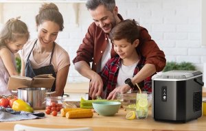 Kostkarka do lodu Euhomy IM011 4