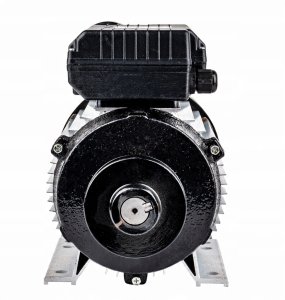 Geko Silnik elektryczny 2.2KW/3KM 230V 1 fazowy (1) 6