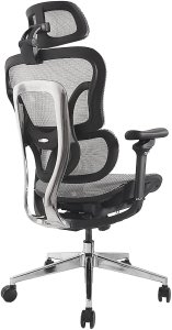 Equip Ergonomischer Bürostuhl mit Kopf und Armstützen     gr lite Retail 2