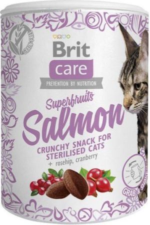 Brit Care Cat Snack Superfruits Salmon 100g 1
