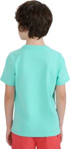 Koszulka dla chłopca 4F M1917 miętowa 4FJWSS25TTSHM1917 47S 134cm 3