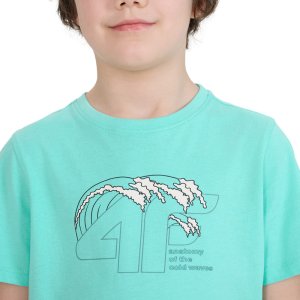Koszulka dla chłopca 4F M1917 miętowa 4FJWSS25TTSHM1917 47S 134cm 4