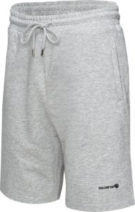 Męskie Spodenki ICHIRO SHORTS 2