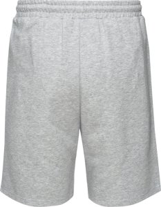 Męskie Spodenki ICHIRO SHORTS 3